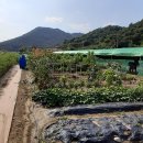 인하농장 이미지