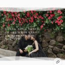 모바일청첩장 추천 데어무드 직접 만들어본 후기 (무제한 수정, 커스텀 가능)
