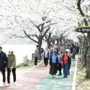 화랑유원지 이미지