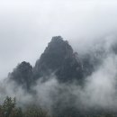 청산카 이미지