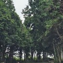 항몽유적지 이미지