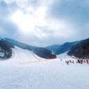 산낙지촌 이미지