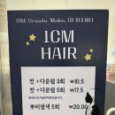 햇빛 Hair | 미사역 미용실 1CM hair 미사역점 에서 데미클리닉 받고 온 후기