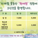 제주 수국 명소 현애원 수국축제 이스틀리카페 후기