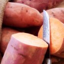 밤나무골농장 이미지