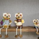 제주프랜 이미지