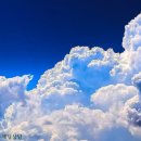 수원세무서 이미지