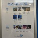 오션 아레나 이미지