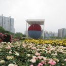 올림픽공원의 장미광장과 들꽃마루 이미지
