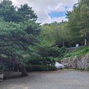 팔색조 펜션 이미지