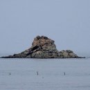 볼음저수지 이미지