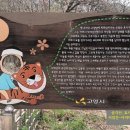 효자동 박태성정려비및묘 이미지