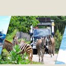 포시즌당구장 이미지