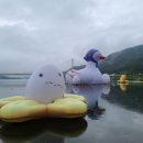 황금오리알 이미지