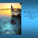모야 이미지