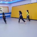 청호태권도 이미지