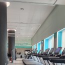 스파렉스 이미지