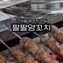 팔팔양꼬치