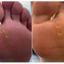 레푸스서초교대역점 이미지