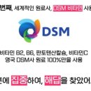 포커스온 이미지