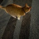 울렁다리펜션 | 강원도 강릉여행 일출보기좋은 가성비 숙소 상상초당 502호 내돈내산후기