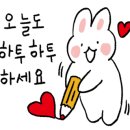 오셀라스스파 이미지