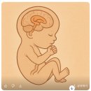 미성메디칼 이미지