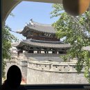 다원화물 | 전주 당일치기