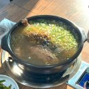 소나무(오리명가) 이미지