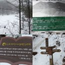 금병산-짙은안개속에 수묵화같은 소나무 눈꽃을 보며 실레이야길을 이미지