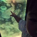 대전아쿠아리움 이미지