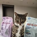 에이케이사이언스 이미지