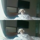 채우리네 이미지