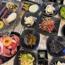사수동 982 티스토리