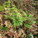 구산-024 이미지