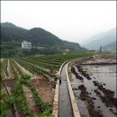 화계천 이미지
