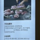 약돌생고기 이미지