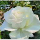 중흥골프