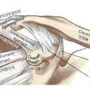척바른병원 이미지