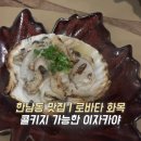 로바타화목