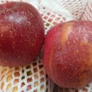 금당골농장 이미지