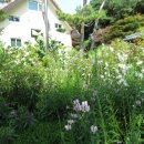 장영훈 행정사 사무소 이미지