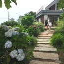 비자림민박 이미지