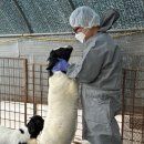 경기도 북부동물위생시험소 이미지