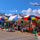 유성대로(유성-29) 이미지