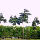 부평공원 이미지