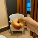 송송 호스텔 | 정열의 세비야 2박 3일 일정추천 | 알카사르 궁전, 플라멩고 박물관 공연, 스페인 광장