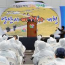 양산시2청사 이미지