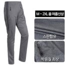 펄스 이미지