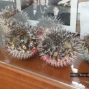 시원복집 이미지